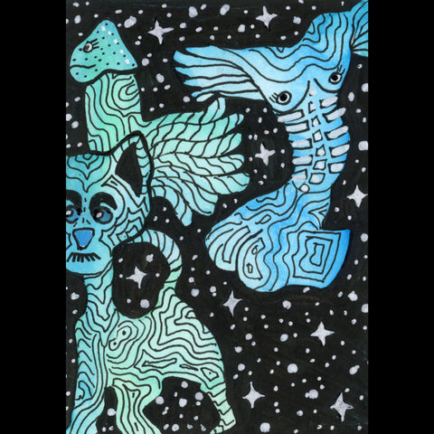 Asterism Anatomy