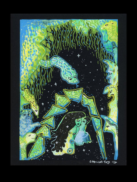 Night Fauna
