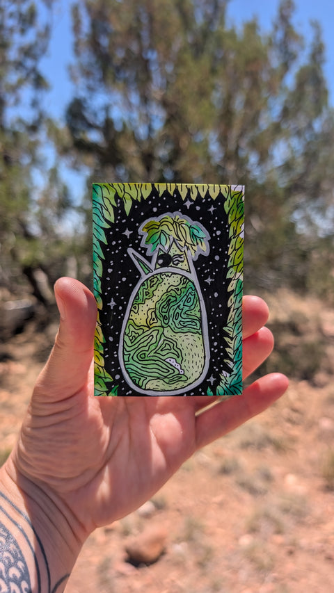Cosmic Derp Parrot